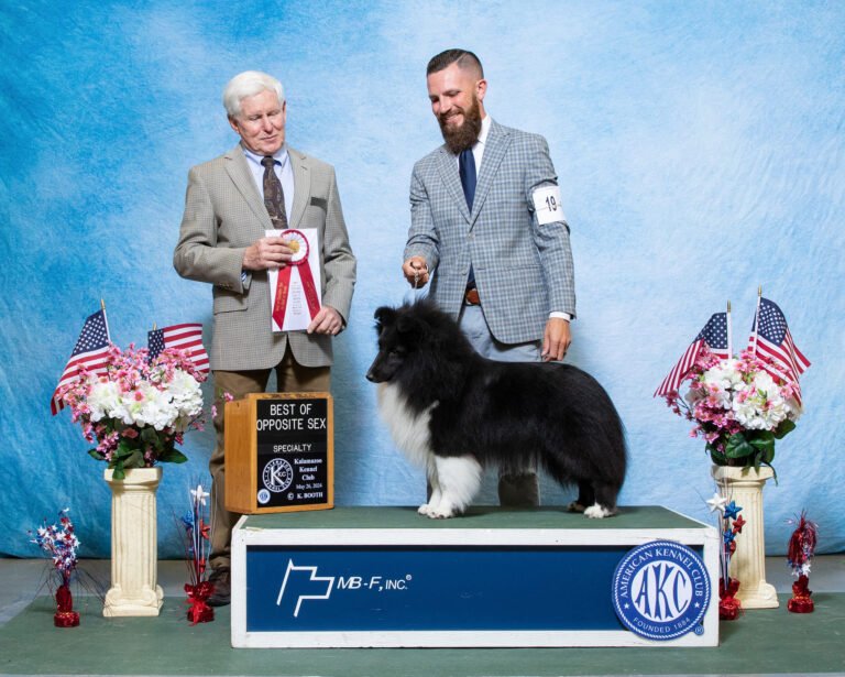 509431994_10232474907797525_5558986019537140941_n