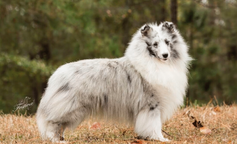 Screenshot 2026-04-17 150134